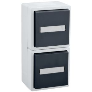 Steckdose 2-fach senkrecht