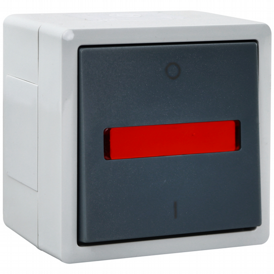 AP-FR Ausschalter 2p VARIO21 IP44