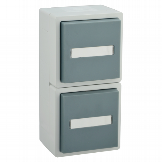 AP-FR Steckdose 2-fach senkrecht VARIO21