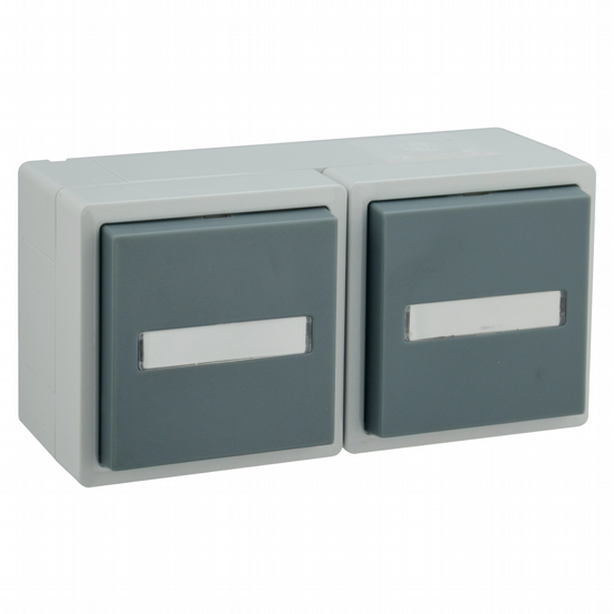 AP-FR Steckdose 2-fach waagrecht VARIO21